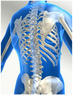 Oshawa Chiropractic